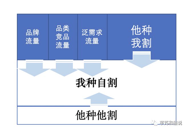 短视频种草