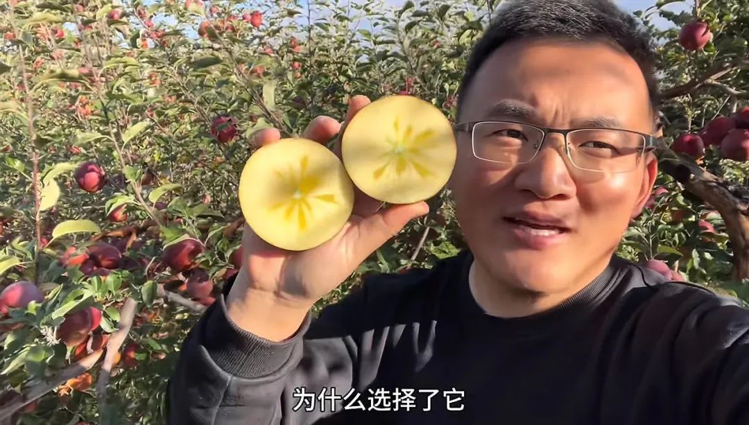 短视频带货