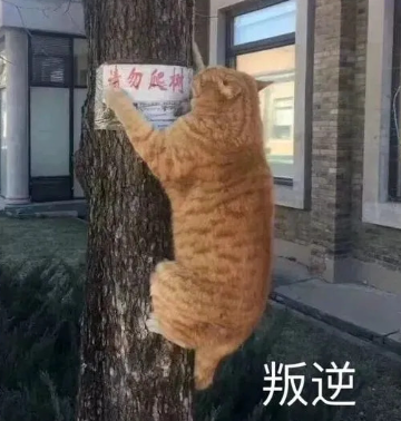 抖音宣传