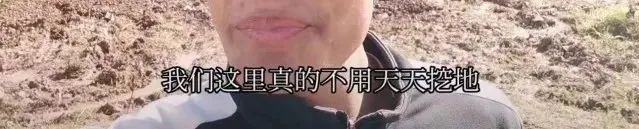 抖音宣传